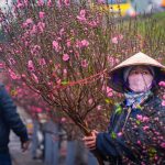 Kinh doanh gì dịp Tết 2018