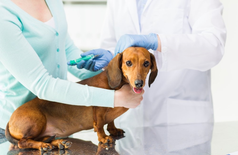 Nên kinh doanh gì hiệu quả nhất hiện nay