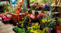 Trang trí cửa hàng hoa tươi ấn tượng