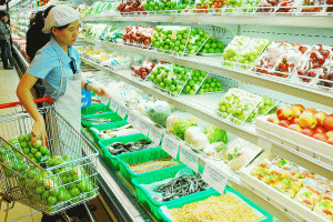 Kinh nghiệm mở cửa hàng thực phẩm sạch an toàn