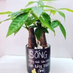 Thông điệp trong từng chậu cây