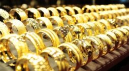 Đa dạng mẫu mã giúp tiếp cận nhiều đối tượng khách hàng hơn